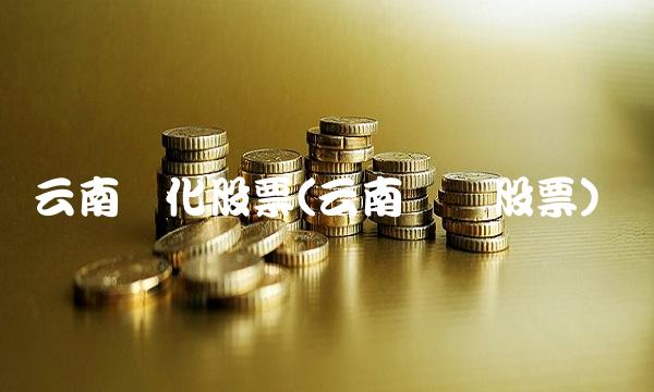 云南盐化股票(云南铜业股票)