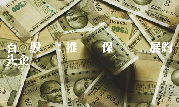百亚股份：推动环保产业发展的领先企业
