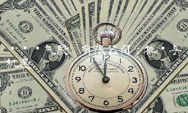 华仪电气股份有限公司：挑战与机遇