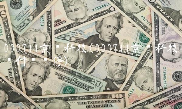 000711京蓝科技(000711京蓝科技为什么涨停)(1)