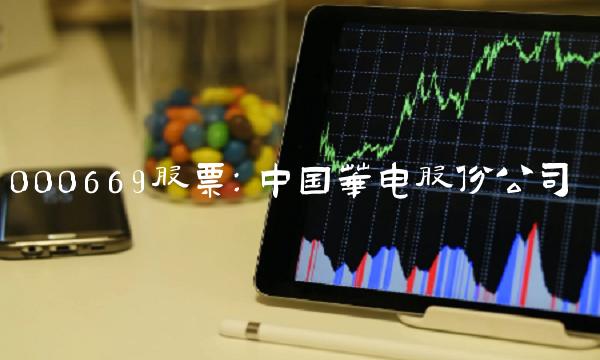 000669股票：中国华电股份公司