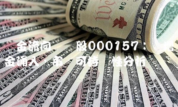 资金流向雏鸡股000157：剧增资金涌入，市场可持续性分析