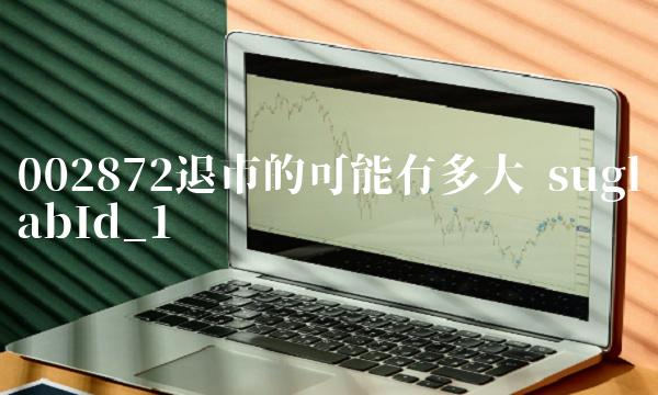 002872退市的可能有多大 suglabId_1