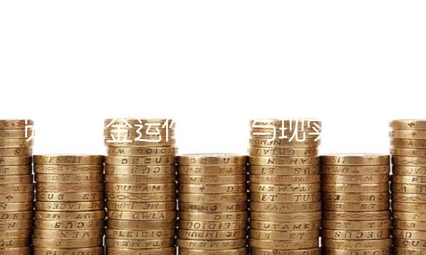 货币资金运作模式与现实经济