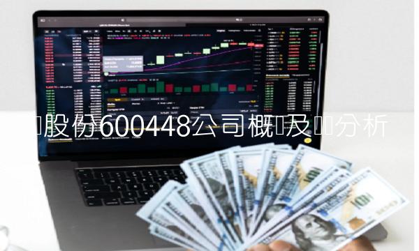 华纺股份600448公司概况及业务分析