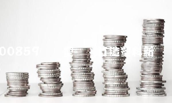 000859国风塑业：打造塑料新时代