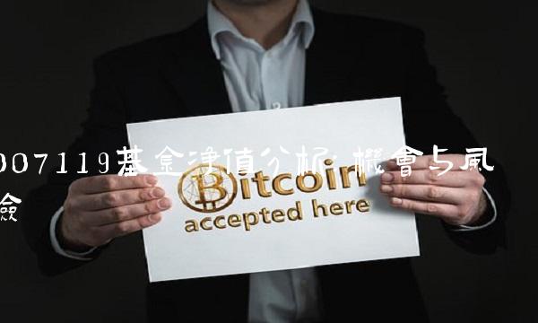 007119基金净值分析：机会与风险