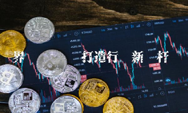 界龙实业—— 打造行业新标杆