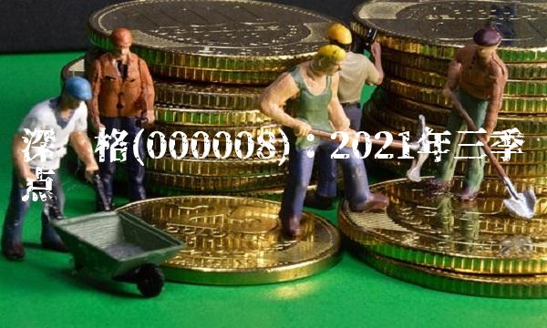 深赛格(000008)：2021年三季报点评