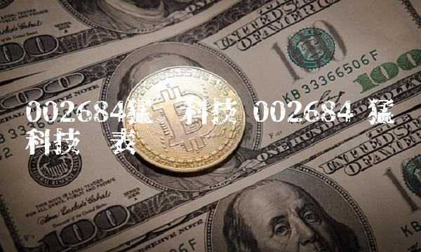 002684猛狮科技 002684 猛狮科技报表