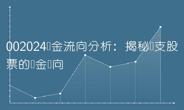 002024资金流向分析：揭秘这支股票的资金动向