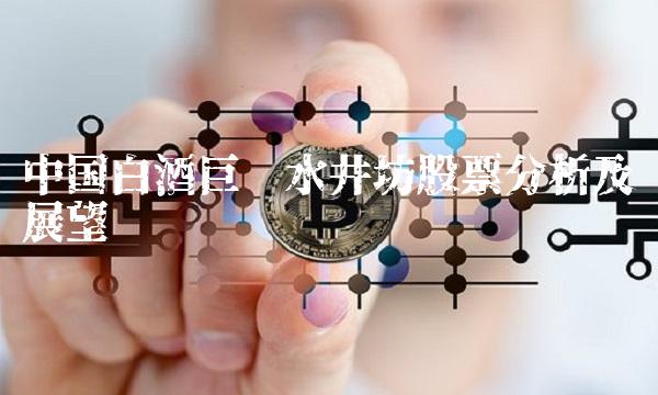 中国白酒巨头水井坊股票分析及展望