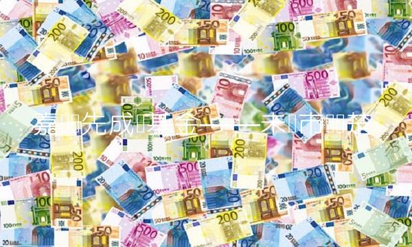 嘉实领先成长基金——未来市场翘楚