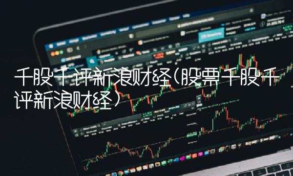千股千评新浪财经(股票千股千评新浪财经)