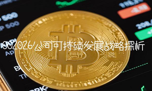 002026公司可持续发展战略探析