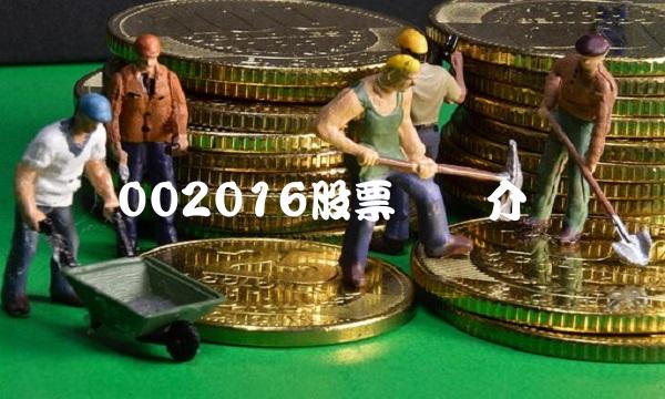 002016股票详细介绍