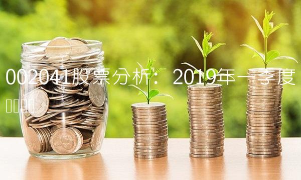 002041股票分析：2019年一季度业绩总结