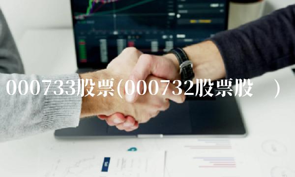 000733股票(000732股票股吧)