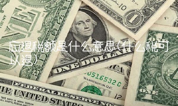 应退税额是什么意思(什么税可以退)