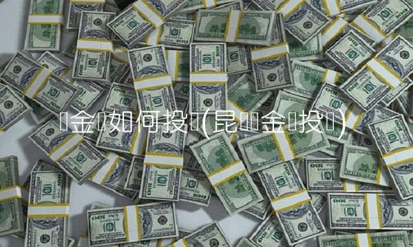 贵金属如何投资(昆仑贵金属投资)