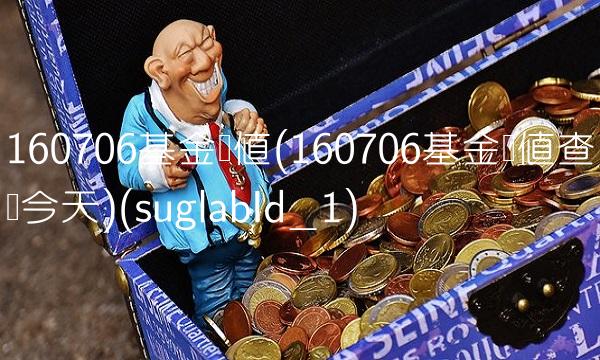 160706基金净值(160706基金净值查询今天)(suglabId_1)