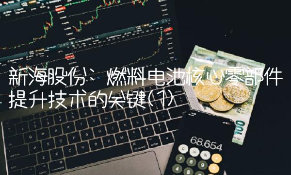 新海股份 燃料电池核心零部件提升技术的关键(1)