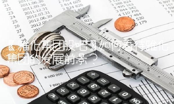 【雅化集团股吧】如何看待雅化集团的发展前景？