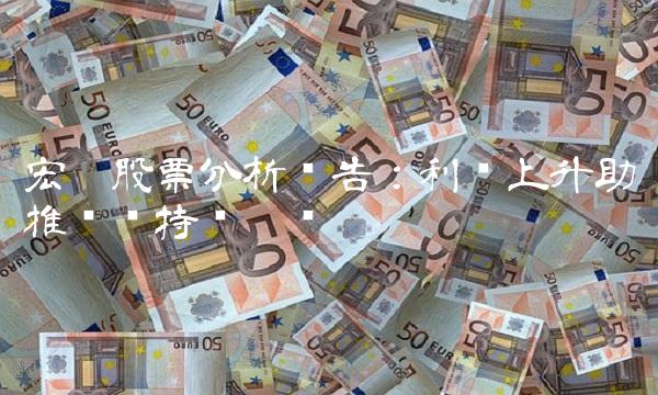 宏达股票分析报告：利润上升助推业绩持续增长