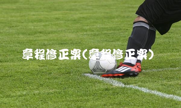 章程修正案(章程修正案)