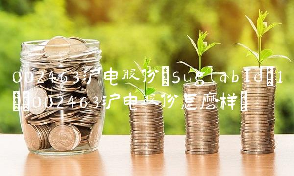 002463沪电股份(suglabId_1)(002463沪电股份怎么样)