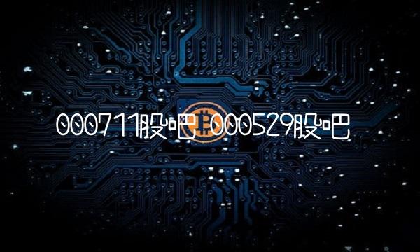 000711股吧 000529股吧