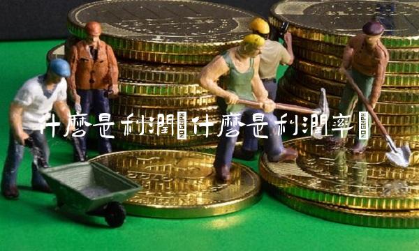 什么是利润(什么是利润率)