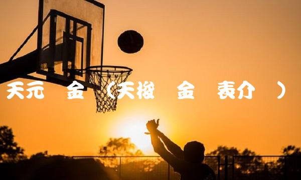 天元贵金属(天梭贵金属表介绍)