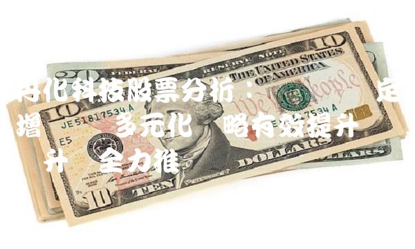 丹化科技股票分析：①业绩稳定增长 ②多元化战略有效提升 ③产业升级全力推动