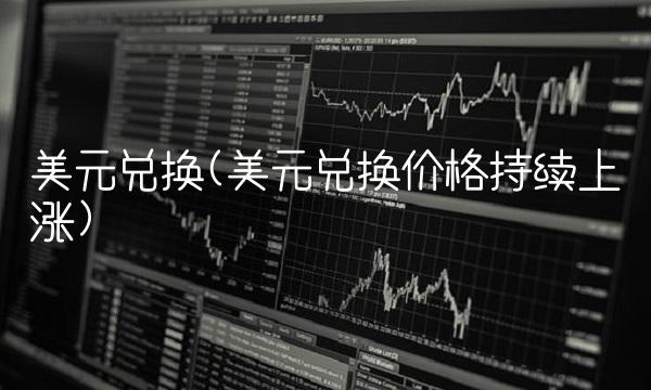 美元兑换(美元兑换价格持续上涨)
