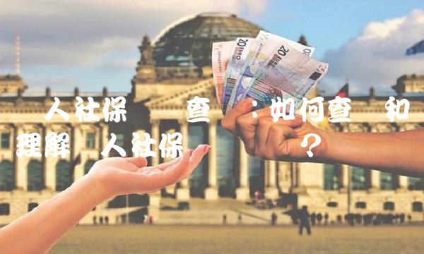 个人社保缴费查询：如何查询和理解个人社保缴费记录？