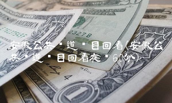 安徽公共频道节目回看(安徽公共频道节目回看夜线60分)