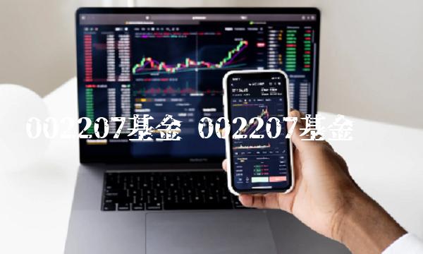 002207基金 002207基金净值