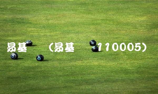 易基积极(易基积极110005)