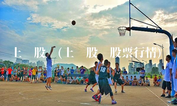上电股份(上电股份股票行情)