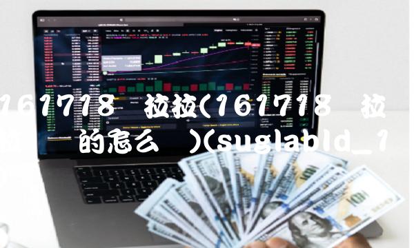 161718货拉拉(161718货拉拉说谈的怎么样)(suglabId_1)