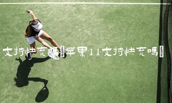 支持快充吗(苹果11支持快充吗)