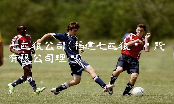 七匹狼公司(福建七匹狼实业股份有限公司理财)