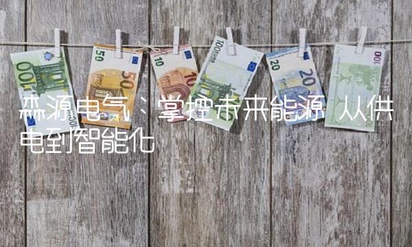 森源电气：掌控未来能源 从供电到智能化