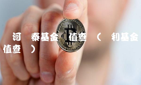 银河银泰基金净值查询(银利基金净值查询)
