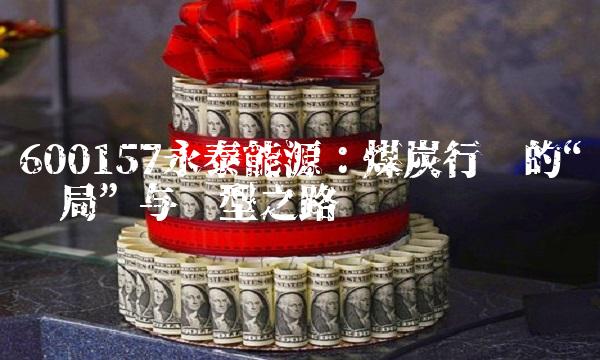 600157永泰能源：煤炭行业的变局与转型之路