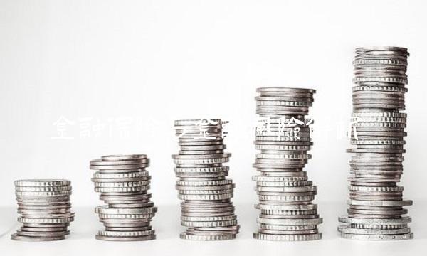 金融保险与金融风险解析