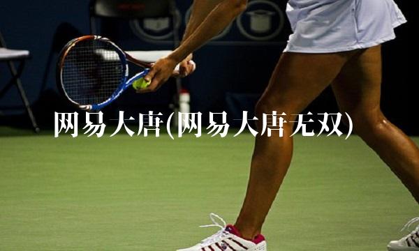 网易大唐(网易大唐无双)