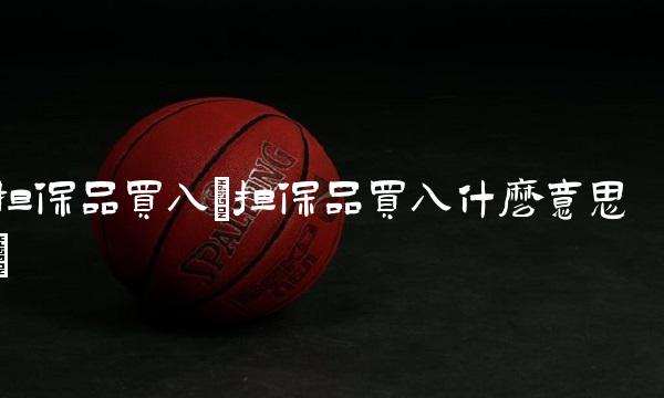 担保品买入(担保品买入什么意思)