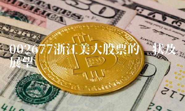 002677浙江美大股票的现状及展望